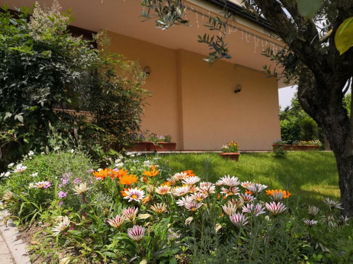 B&B D'Avino Pagani Extérieur photo